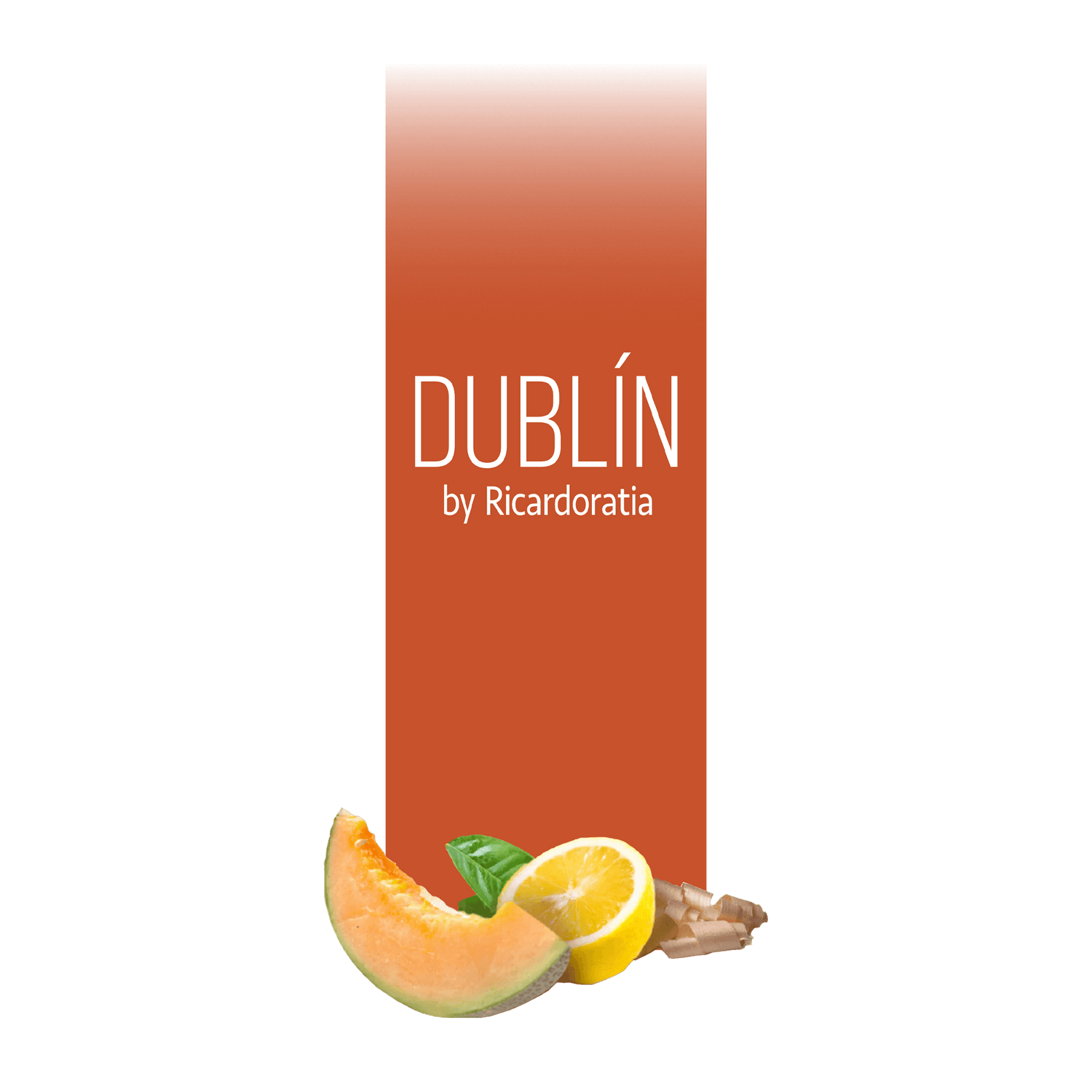 Dublín