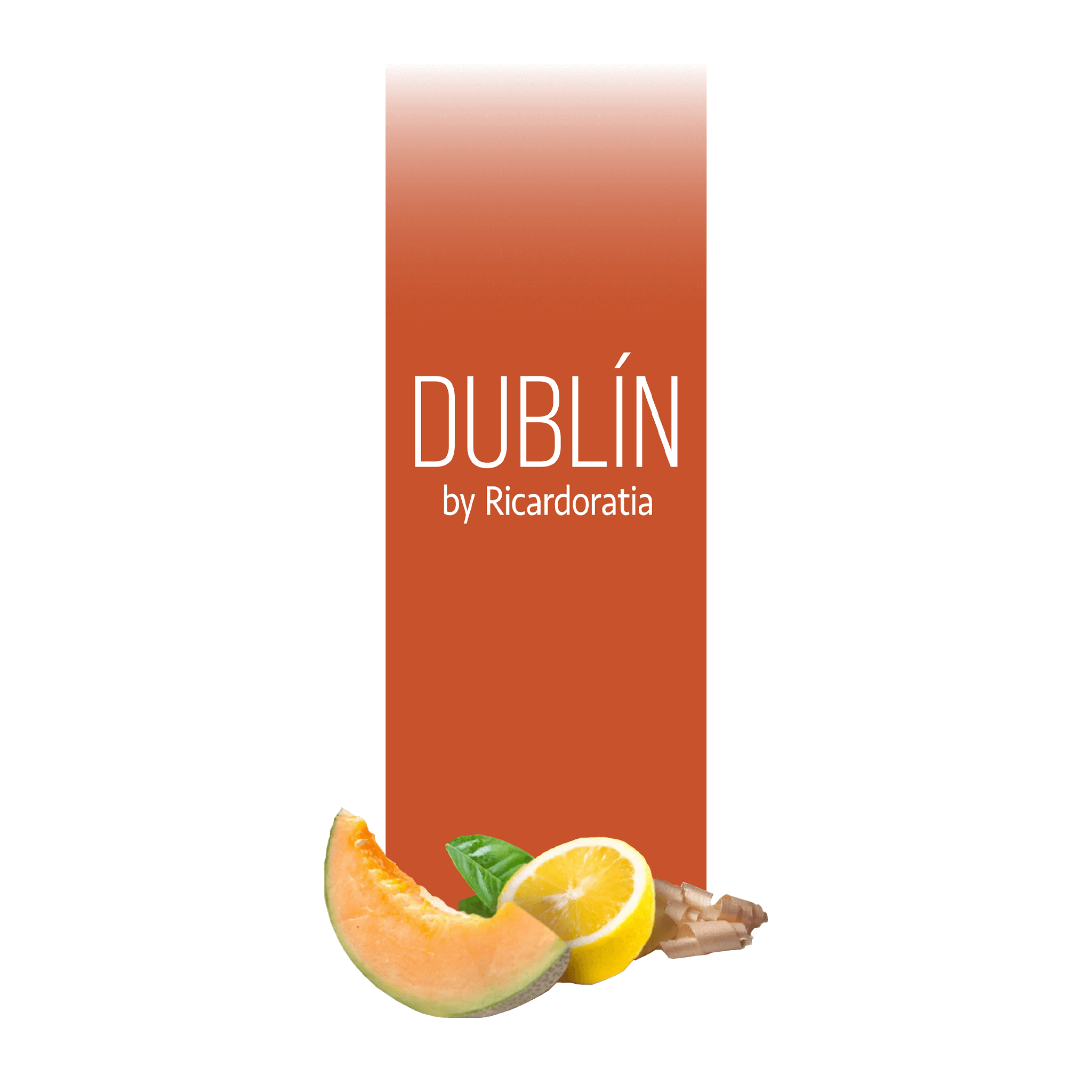Dublín